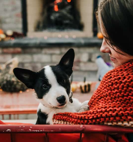 A woman wrapped in a red blanket looking at a black and white dog linking to fall home event