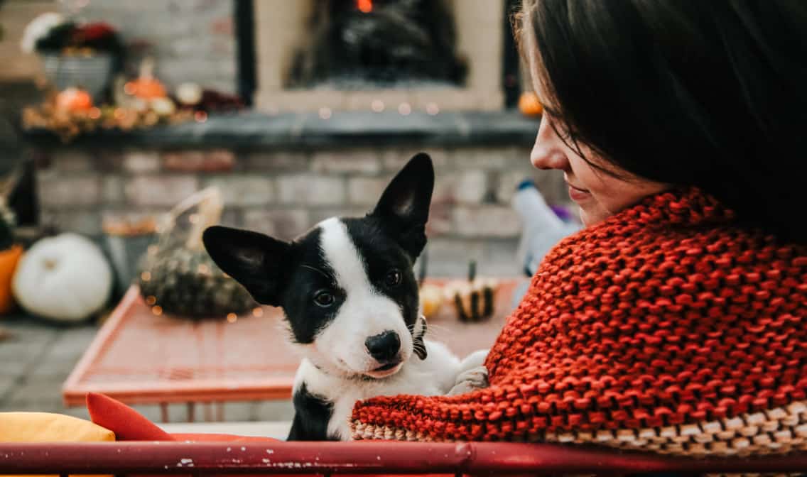 A woman wrapped in a red blanket looking at a black and white dog linking to fall home event