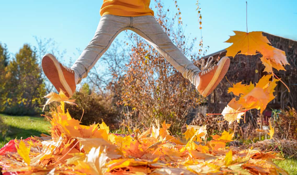 A person jumping in the air wearing orange sneakers with leaves around them linking to sneakers page