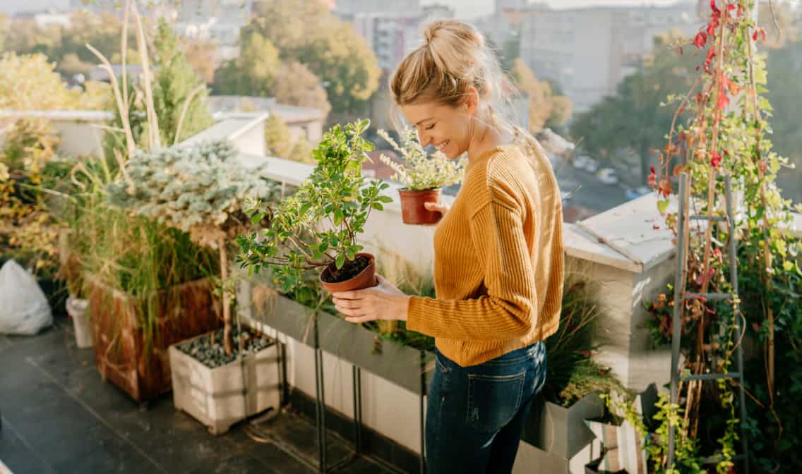 A women holding plants linking to spring essentials shopping event